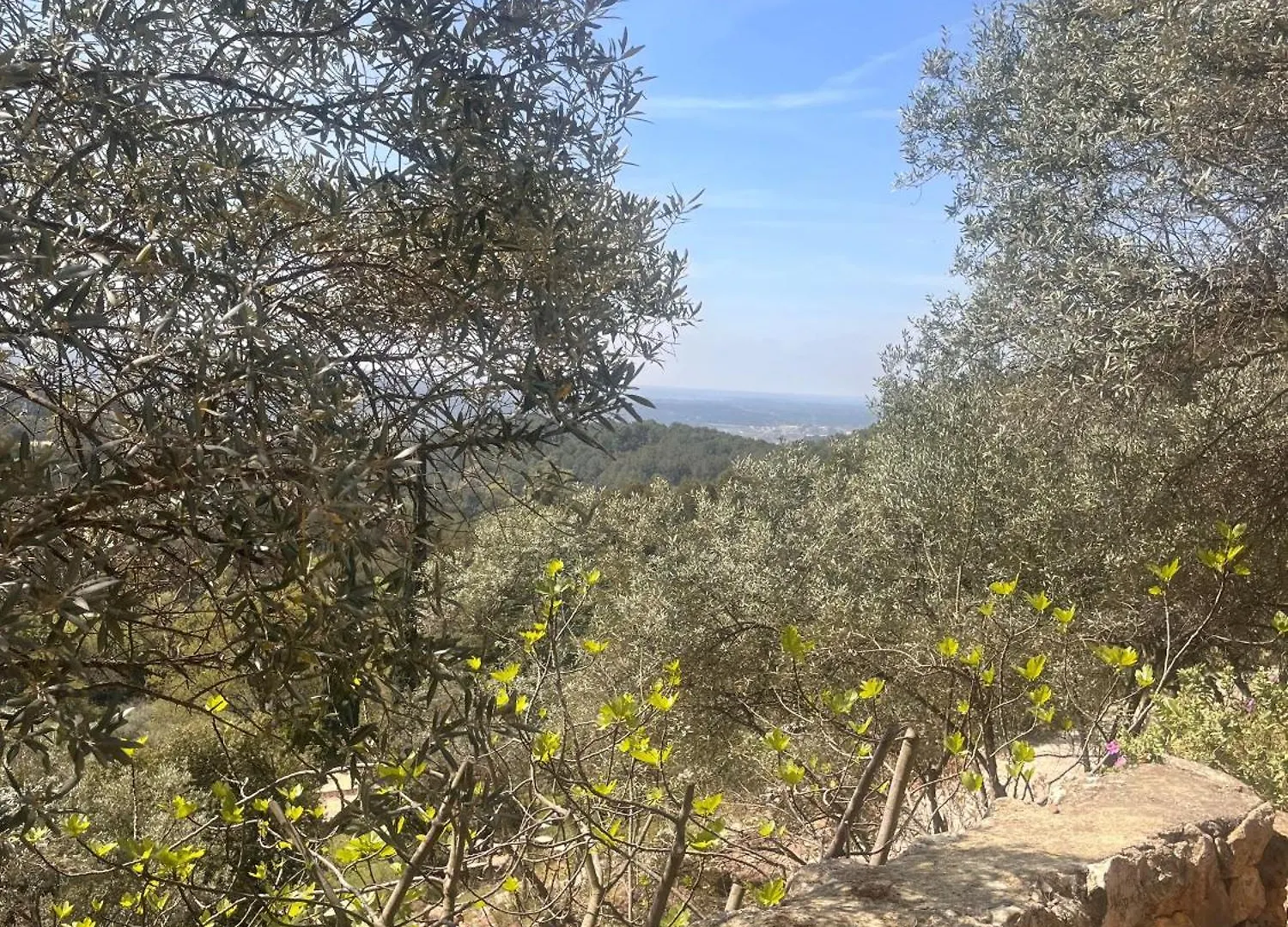 Bastidon Provencal En Plein Coeur De La Foret A Aix-En-Provence Le Tholonet